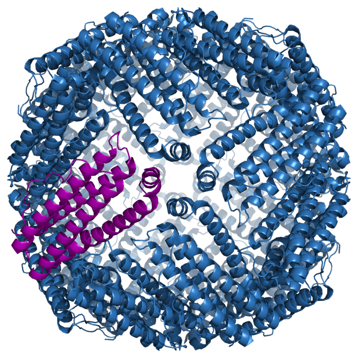 Darstellung Oberflächenmodell Ferritin